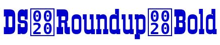 DS Roundup Bold लिपि